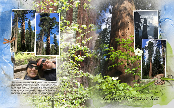 21 May Big Trees 2