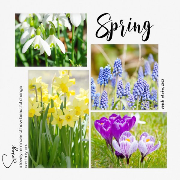 22-02_Mediterranka-Design-PhotoTemplates-spring