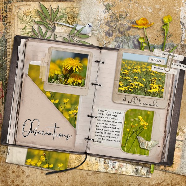 24-05_ARTventures-NaturesNotebook-BotanicalJournal