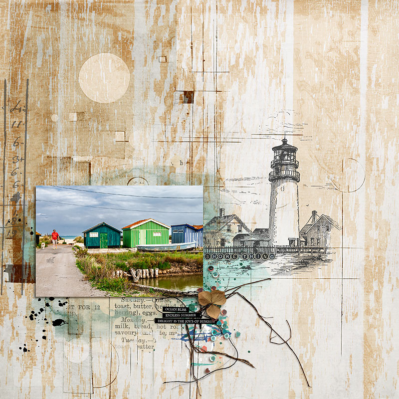 25-05_cwd_shore-thing