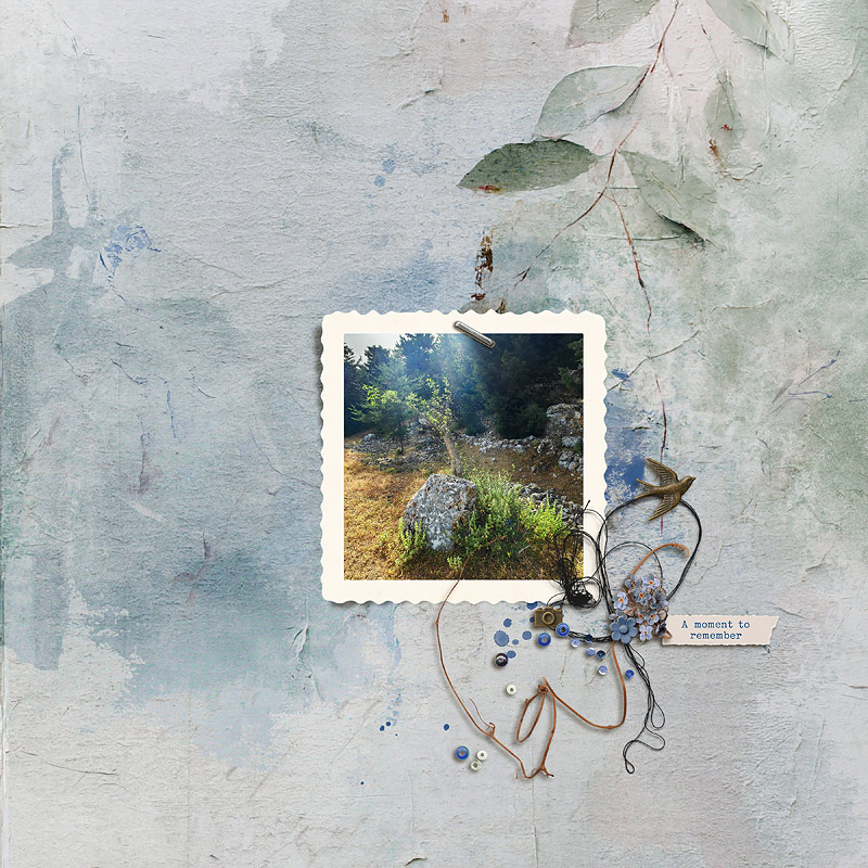 25-05_etd_tiny treasures