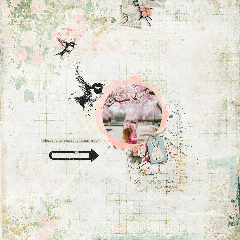 25-06_joycepaul-petal_pawprints