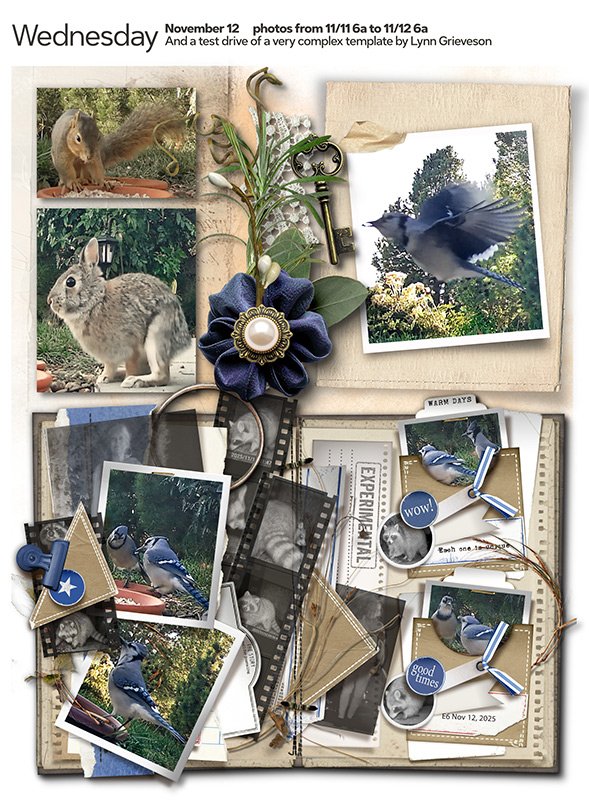 251112 (Experimental) 1000