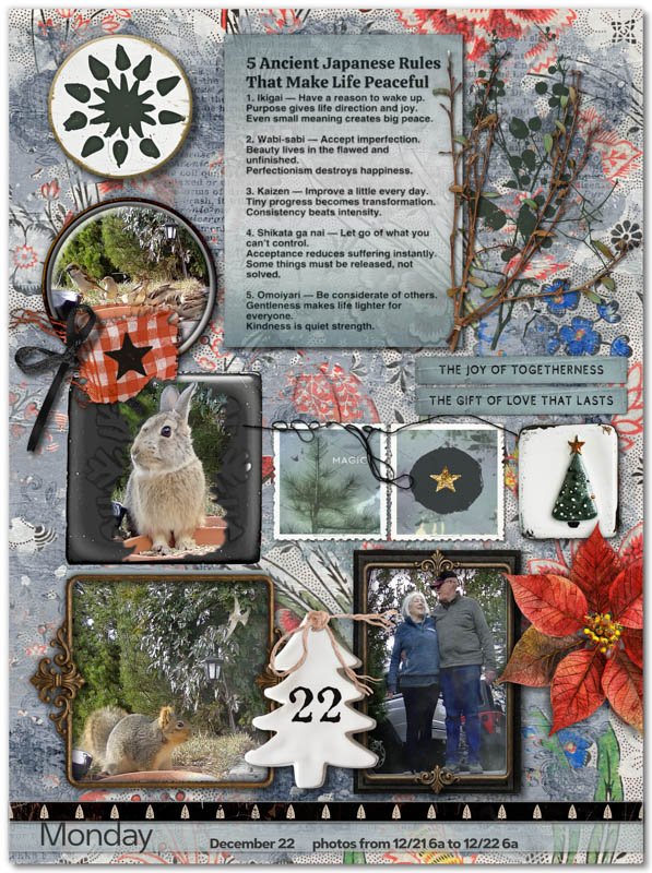 251222 Daily Notebook