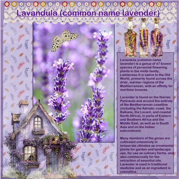 2e-May 2025 A Whimsical Adventure May Challenge! - The Meaning of Flowers.jpg