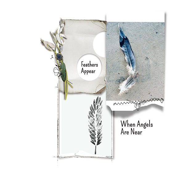 #3:feathers-appear.