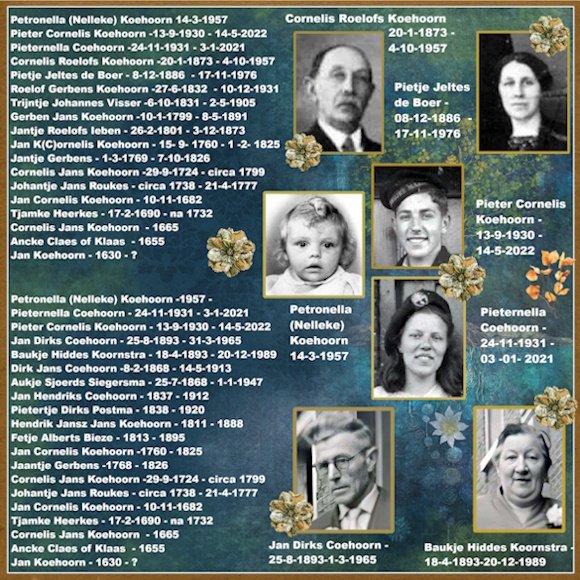 3e-May 2025-AnnaLift Challenge -My Heritage fam.tree-Koehoorn-Coehoorn.jpg