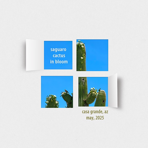 #4-Freebie.jpg