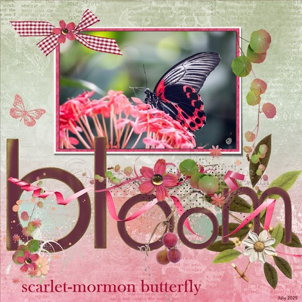 4e -July 2025 Challenge -4- Quote to Wordart-BLOOM-scarlet-mormon butterfly.jpg