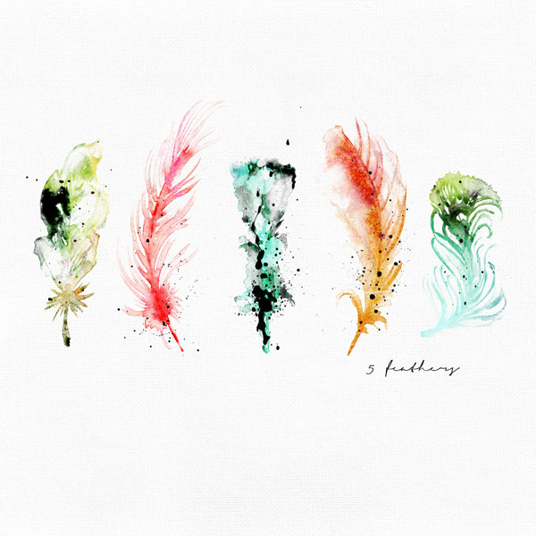 5 feathers