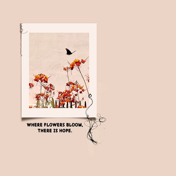 #5 Summer Flowers