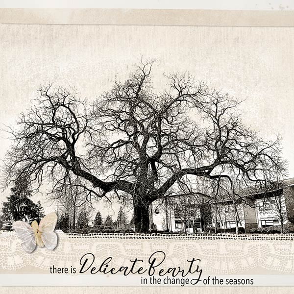 52 Inspirations_01-18_Delicate Beauty