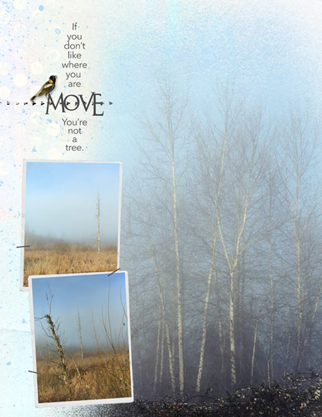 52 Inspirations_01-18_Move