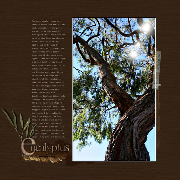 52 stories - eucalyptus memories