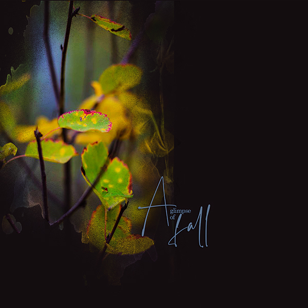 #6: fall-for-fall.jpg