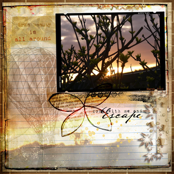 6 Freebies Sunset Tree