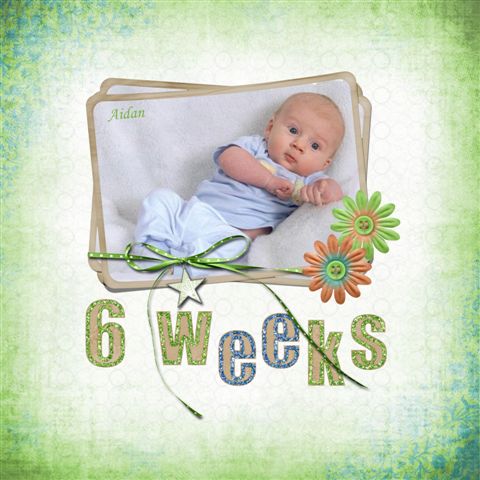 6 weeks