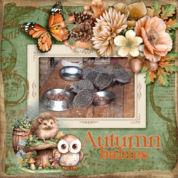 600-adbdesigns-forest-friends-pia-02.jpg