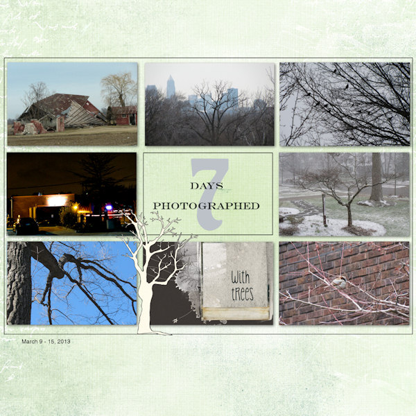 7 Days with Trees