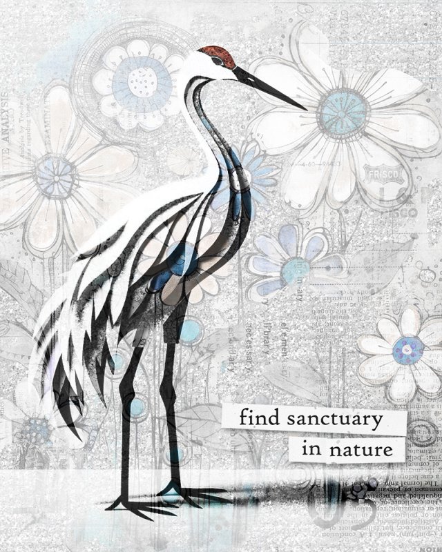 #7 Find Sanctuary in Nature