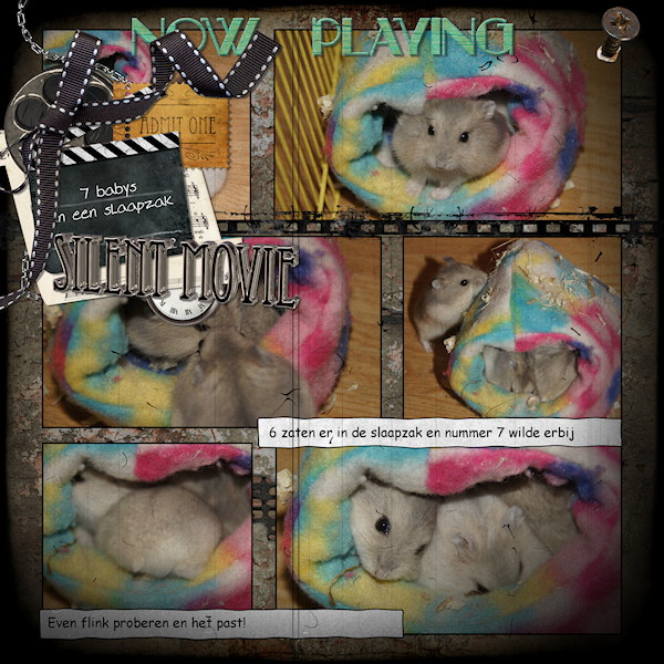 7 hamsters and the tiny sleepingbag