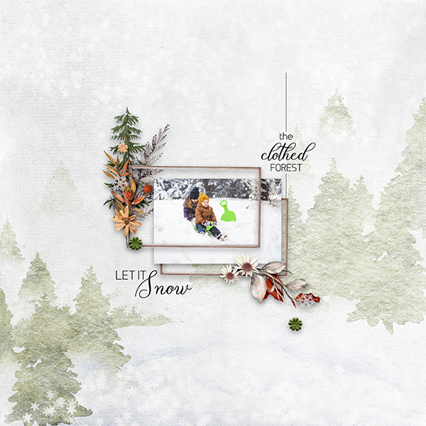 _TheClothedForest_White.jpg