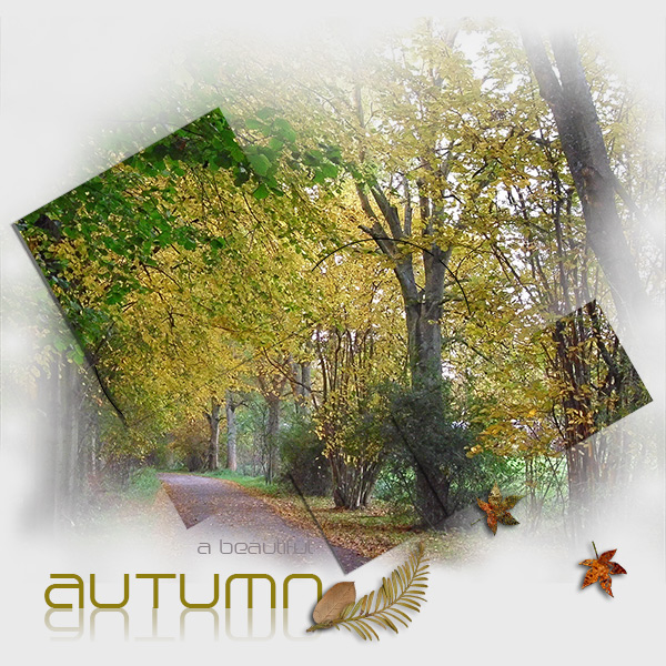 A beautiful Autumn