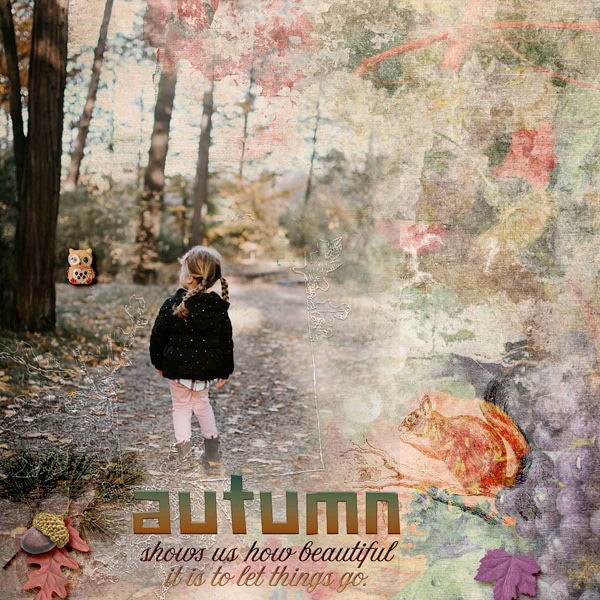 A Beautiful Autumn