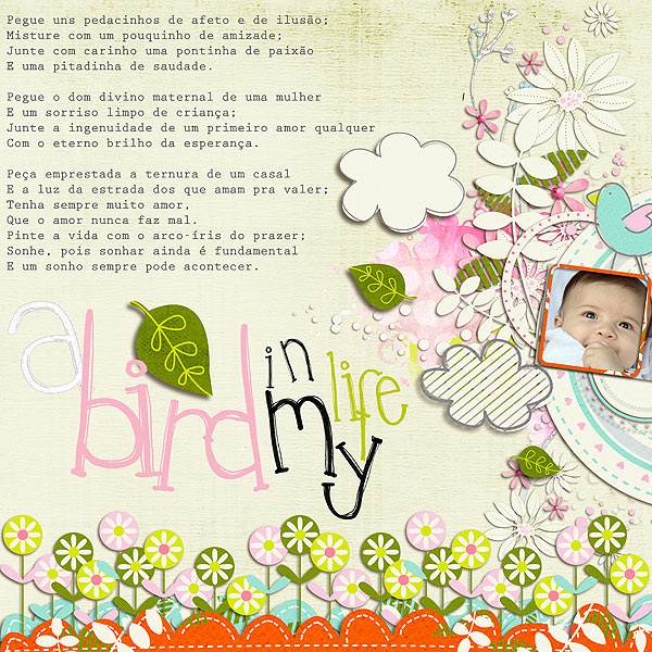 A bird in my life! [RAK Pri Salles]