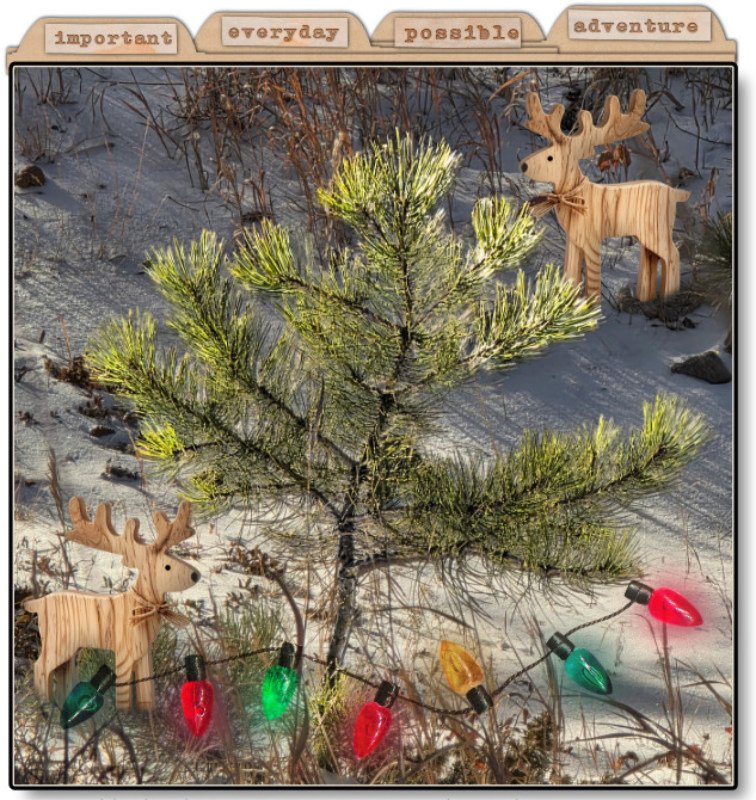 A Charlie Brown Tree