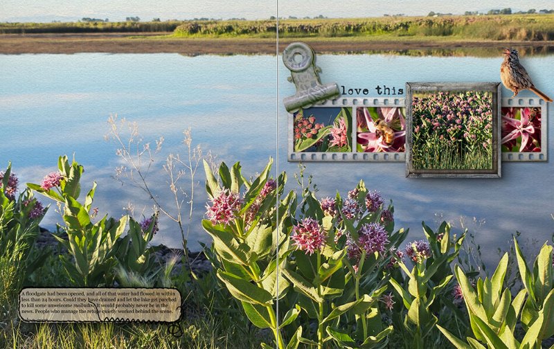 A Floodgate (MVNWR)