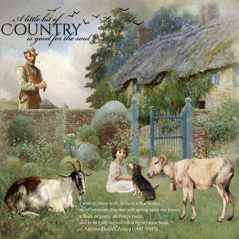 A-Little-Bit-of-Country