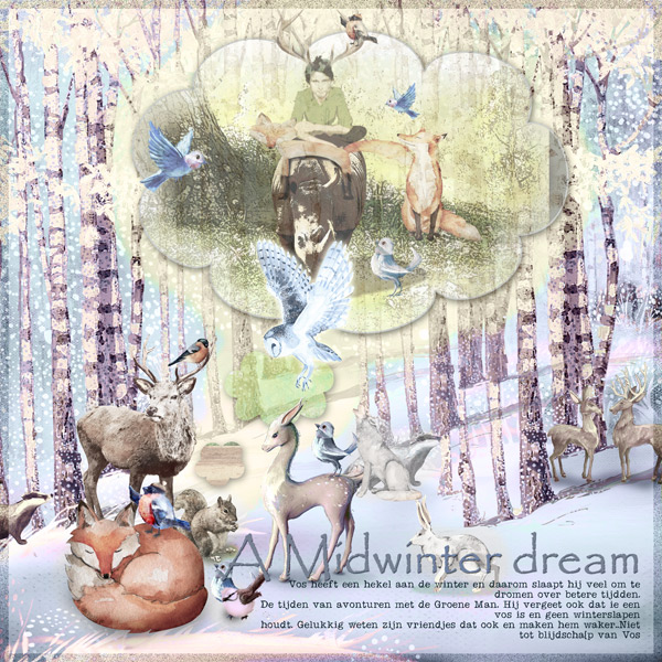 A  Midwinter Nights dream