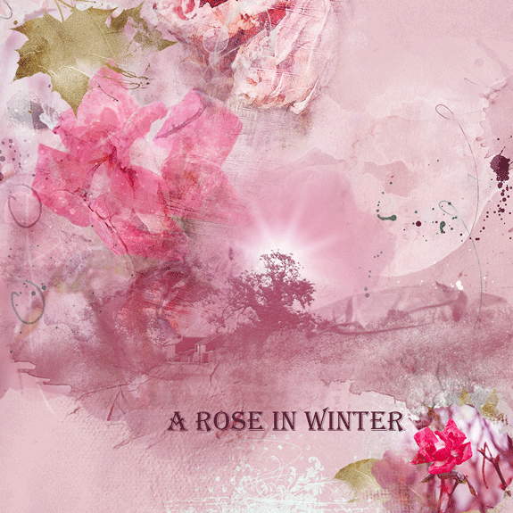 A Rose in-Winter--Anna's Art Palette Challenge