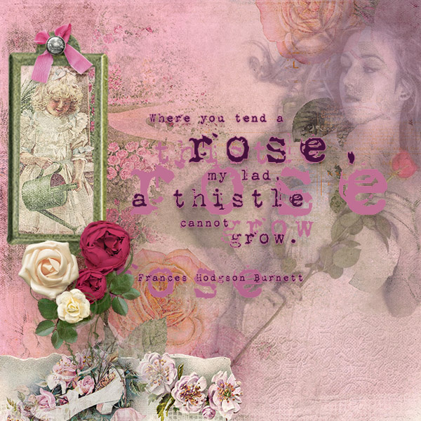 A Rose