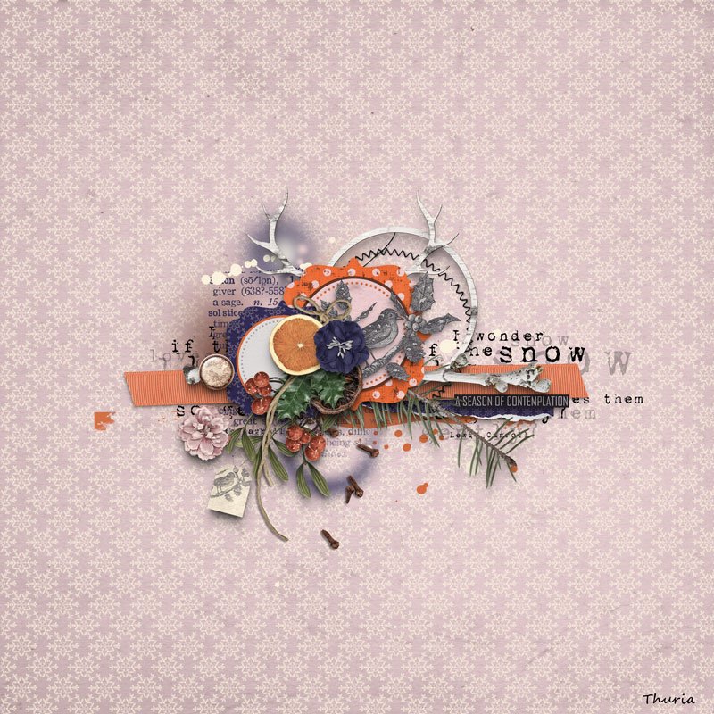 A season of contemplation