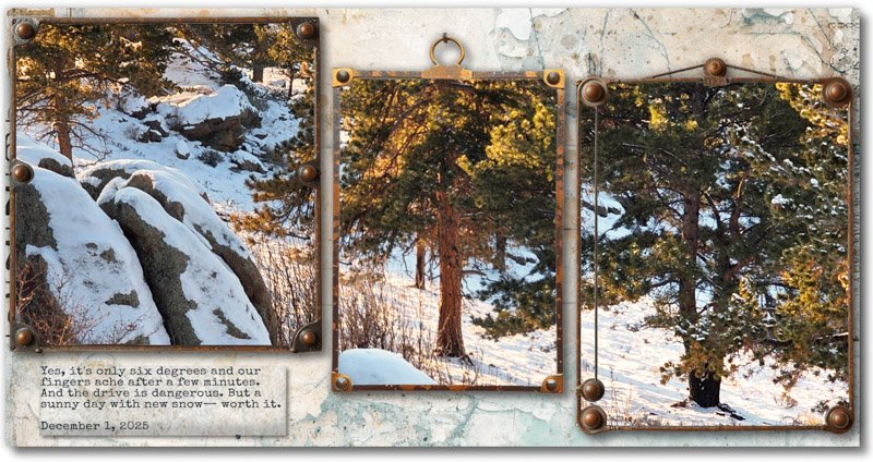 A Sunny Day with New Snow