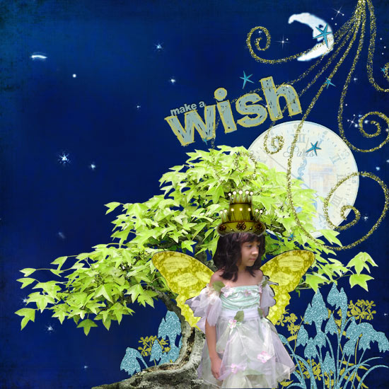 A Wish Upon a Moonlit Night