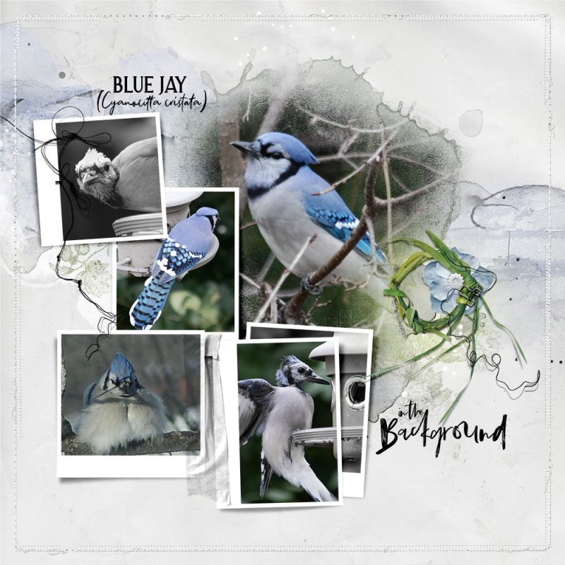 aA ArtPlay Milieu - Bluejays