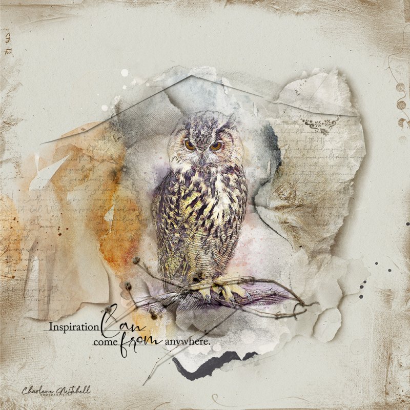 aA ArtPlay Palette Carpe Diem - Owl