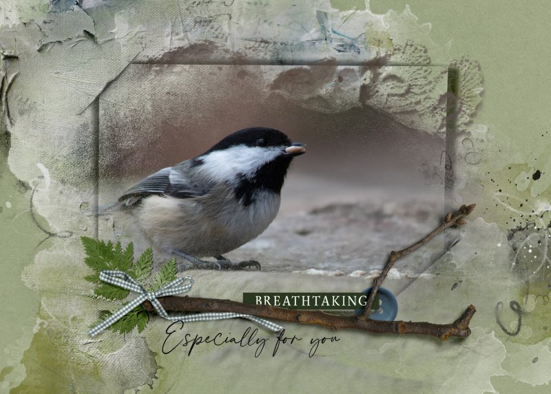 aA ArtPlay Palette Heath - 5x7 Chickadee Card