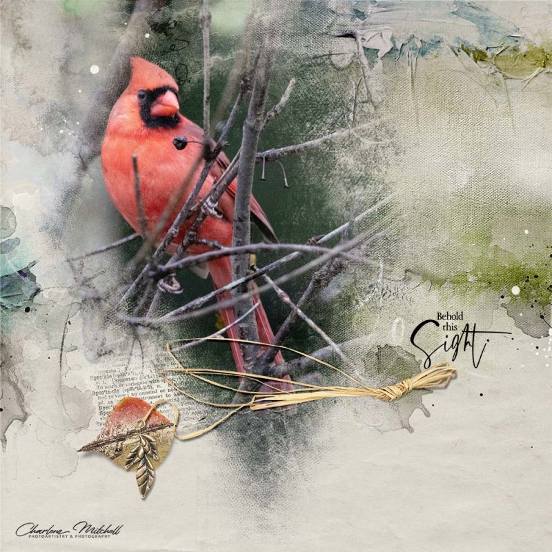 aA ArtPlay Palette Heath - Cardinal