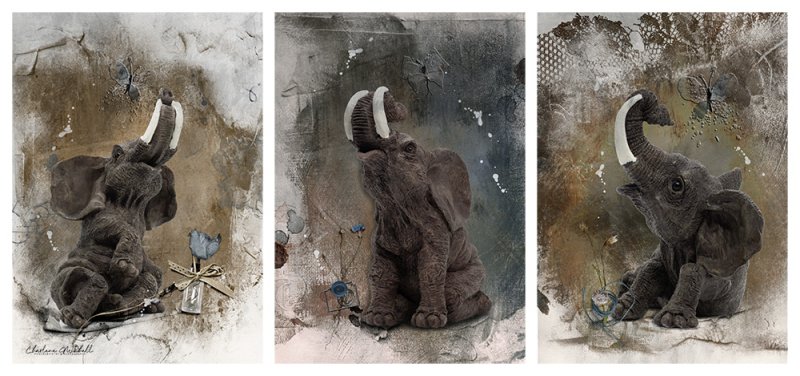 aA Artplay Palette Plage-Elephants Triptych