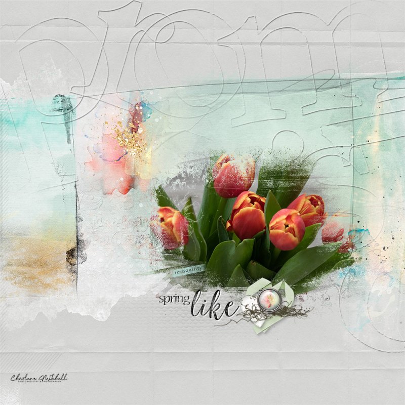 aA ArtPlay Palette Serenity - Tulips