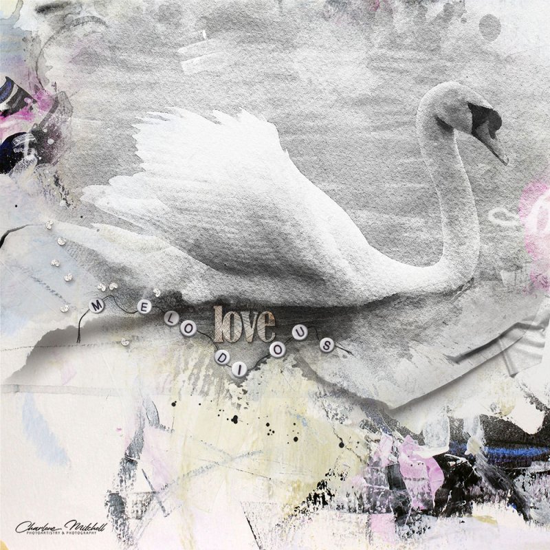 aA ArtPlay Palette Sirenic - Watercolour Swan