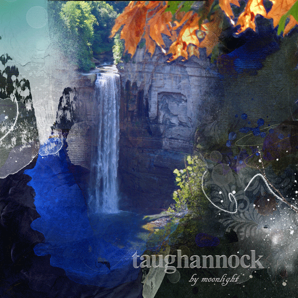 aA Ladder Challenge Day 7 - Taughannock Falls