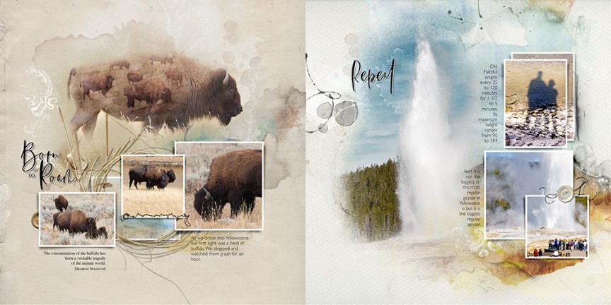 aA Project 2019 Yellowstone