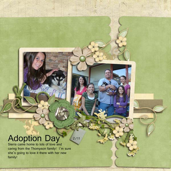 Adoption Day