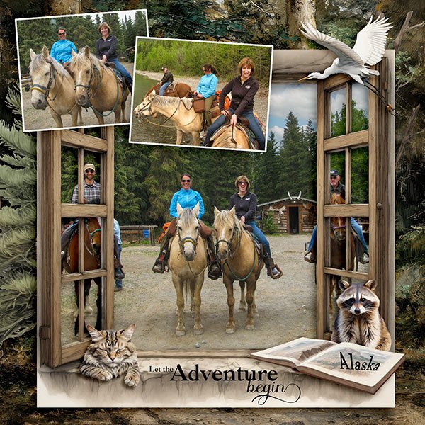 Adventures in Alaska