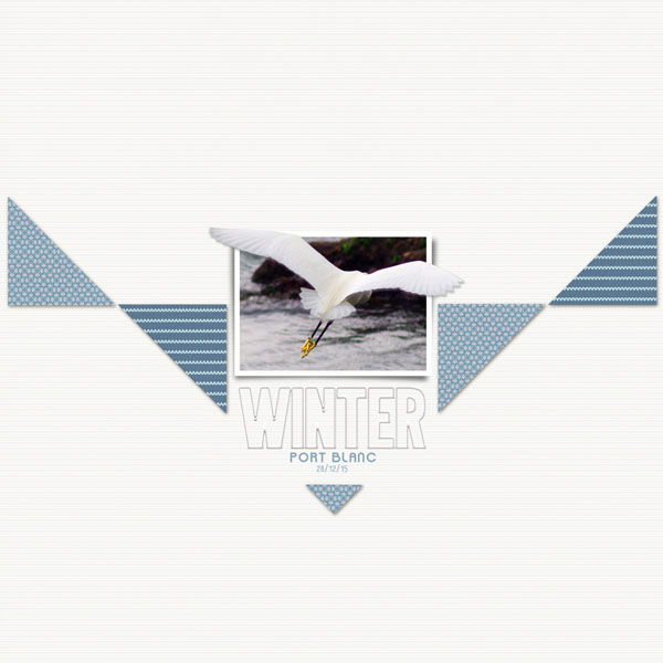 aigrette